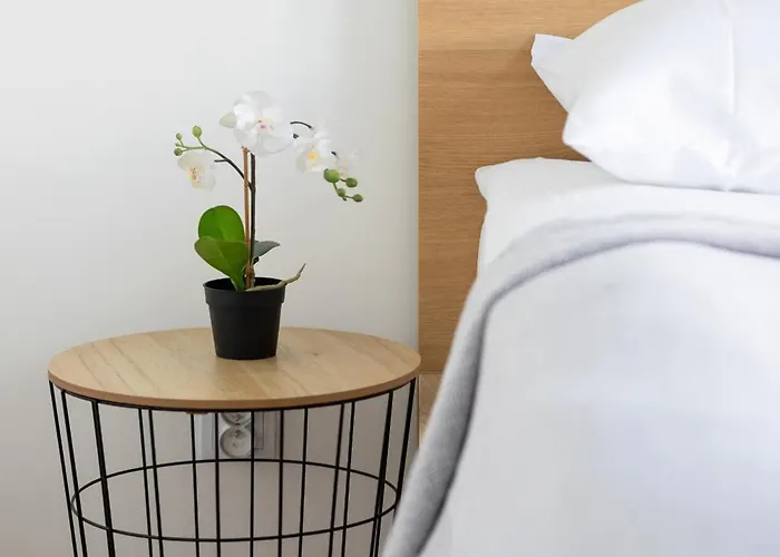 Wyjatkowy Apartament Z Parkingiem W Warszawie By Rent Like Apartman